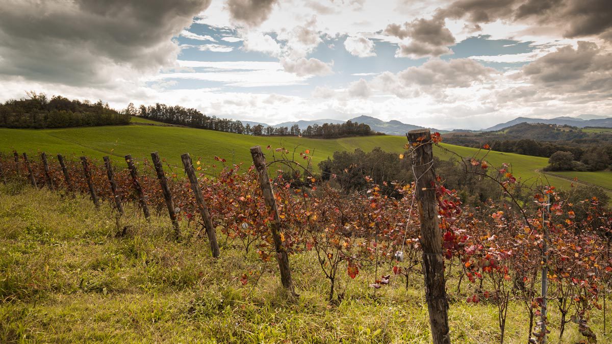 panorama-monte-delle-vigne
