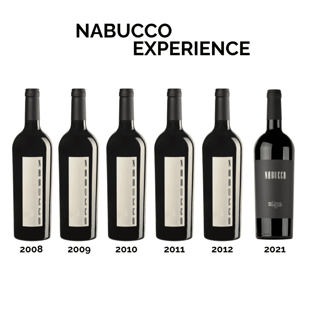 NABUCCO EXPERIENCE