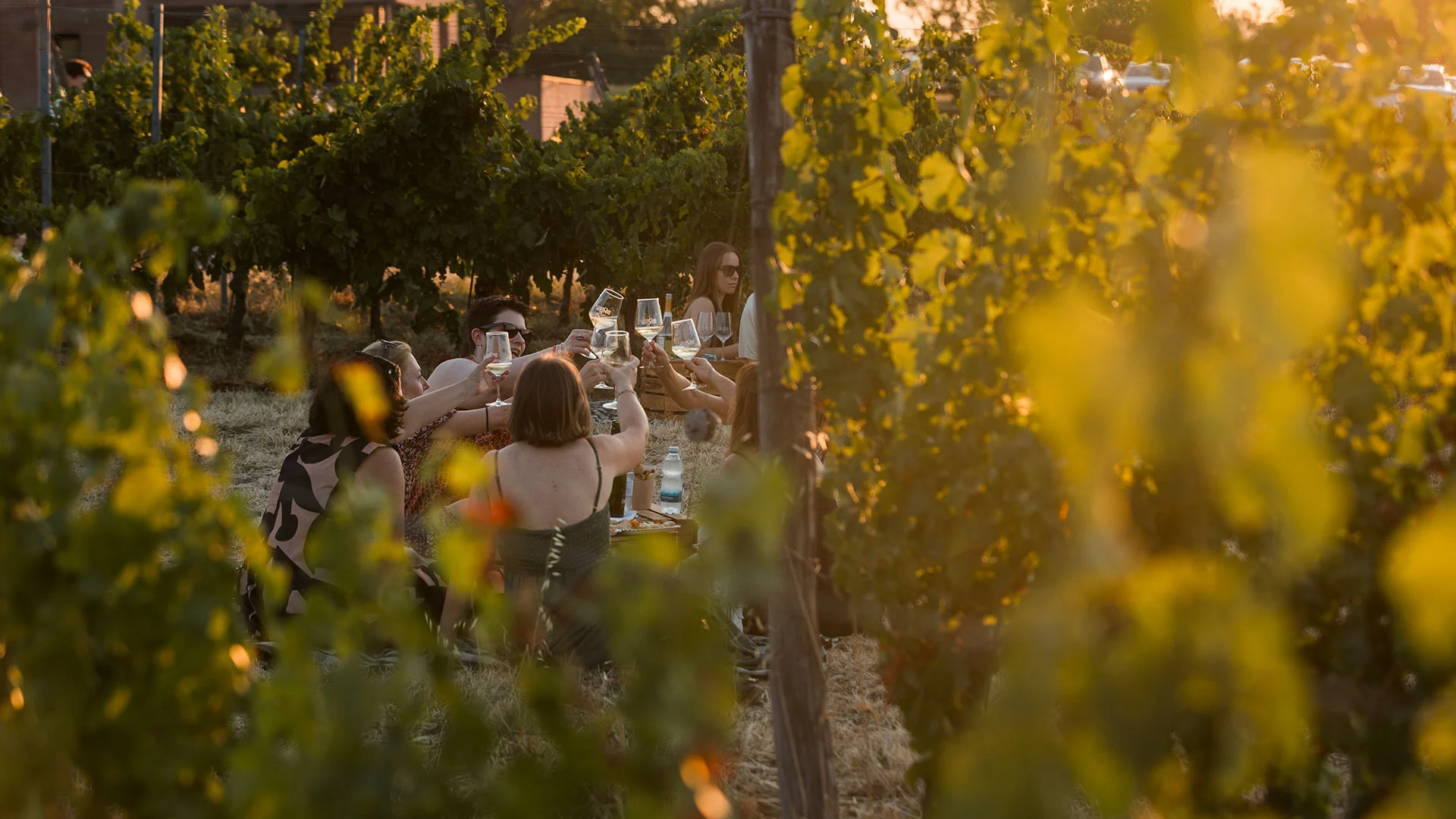aperistreet-monte-delle-vigne-c brindisi tra le vigne