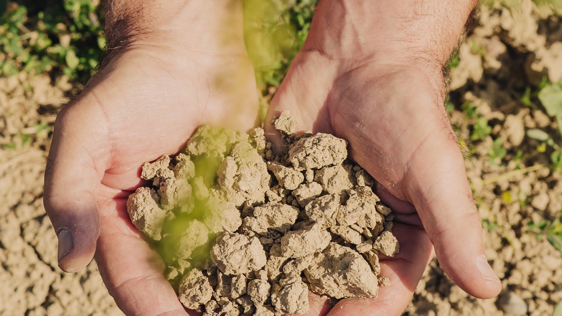 mani-terra il terreno a monte delle vigne